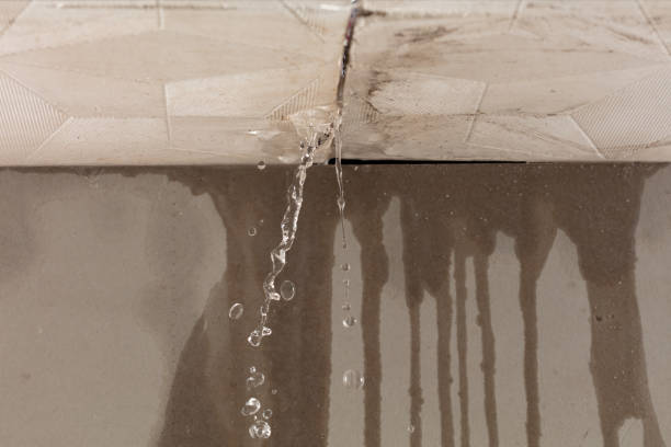 Professional Burst Pipe Cleanup technician working in Bethesda, MD
